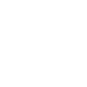 object